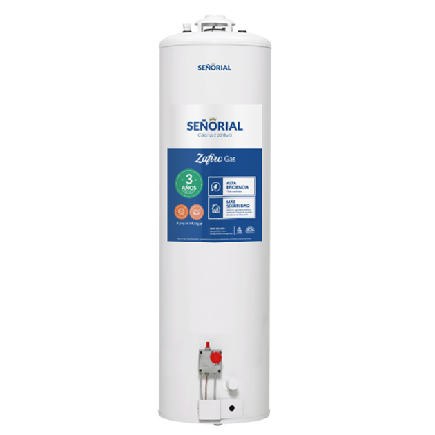 Termotanque a Gas 120 lts